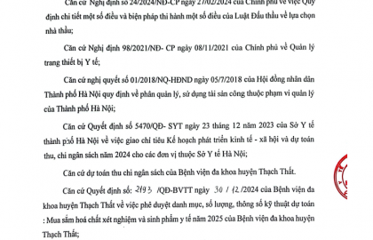 Thư mời chào giá 2096